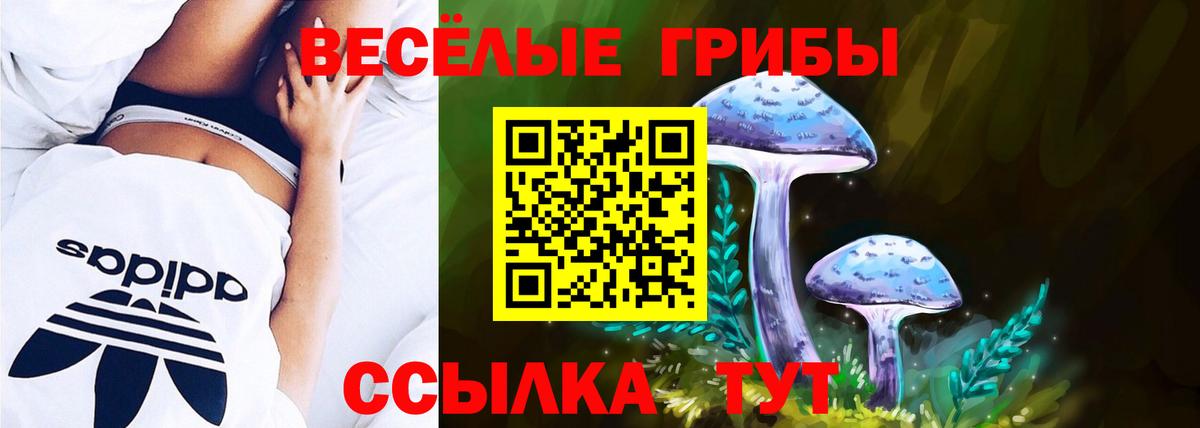 Ангарск  Галлюциногенные грибы Psilocybine cubensis  Галлюциногенные грибы прущие грибы  Вход с VPN 